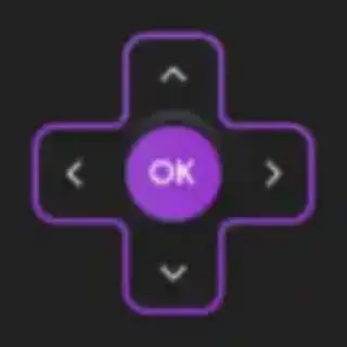 Roku Remote Control